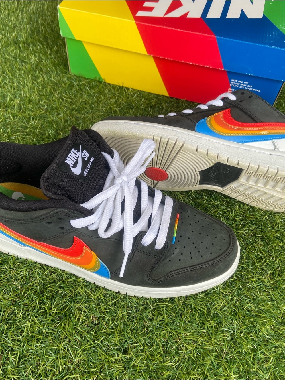 Nike an Polaroid Dunk Low Pro
